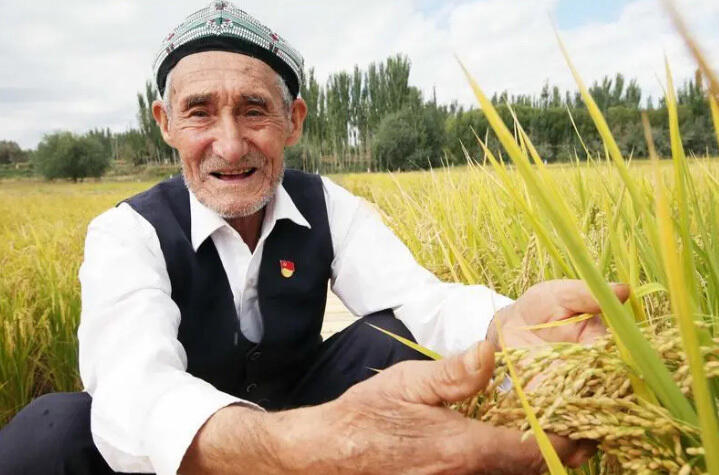 В Синьцзяне жители поселка развивают экологический сельскохозяйственный туризм