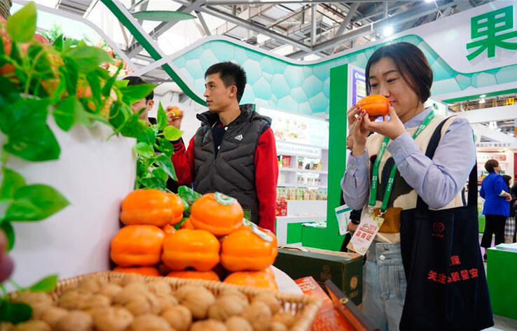 В Чунцине открылась Китайская международная сельскохозяйственная выставка-ярмарка