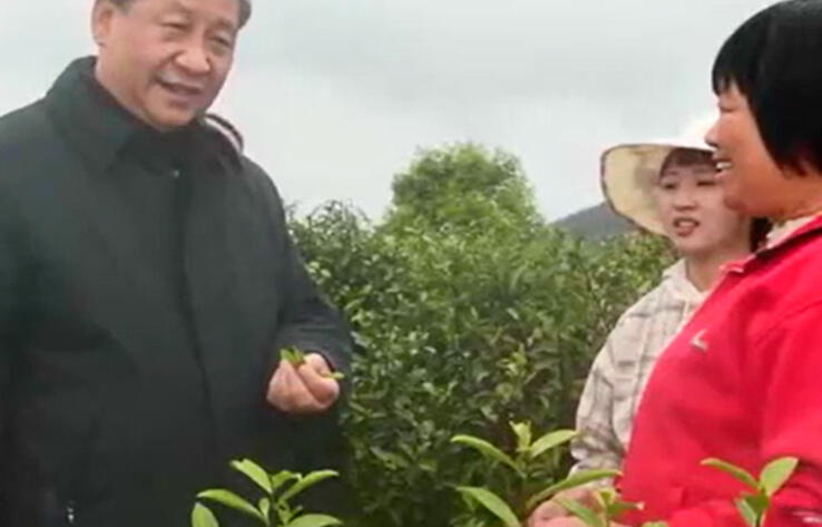 Китайское чудо: Избавиться от бедности. Избавиться от бедности путем развития