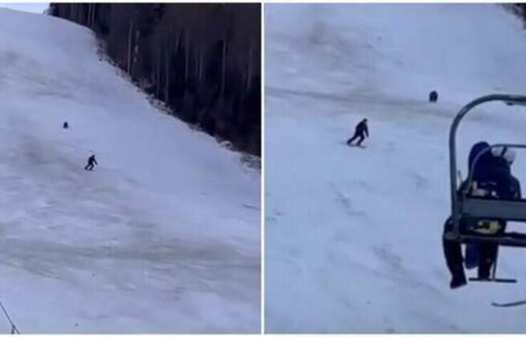 Опубликовано видео погони медведя за лыжником на курорте в Румынии