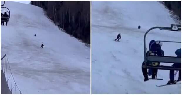 Опубликовано видео погони медведя за лыжником на курорте в Румынии