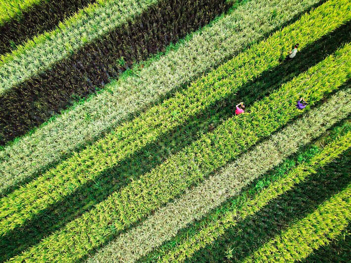 В китайской провинции Гуйчжоу национальная задача страны по ликвидации бедности выполнена