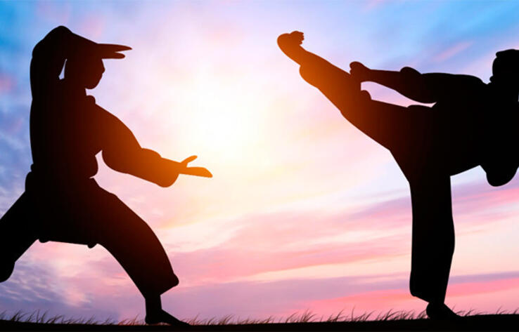 Martial Arts Today: В мире единоборств