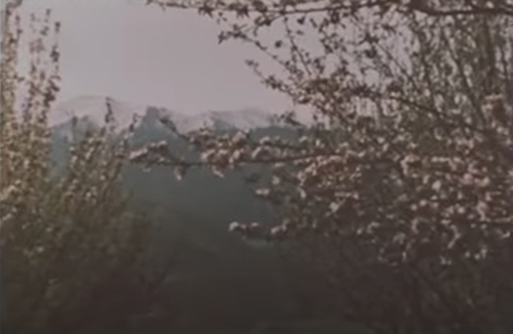 1 Мая - День международной солидарности трудящихся