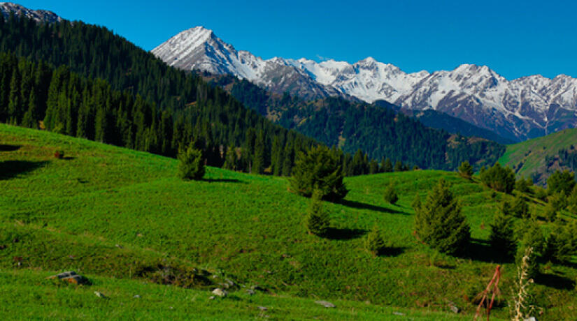 ЭОС: Алматинцы могут остаться без гор и чистого воздуха