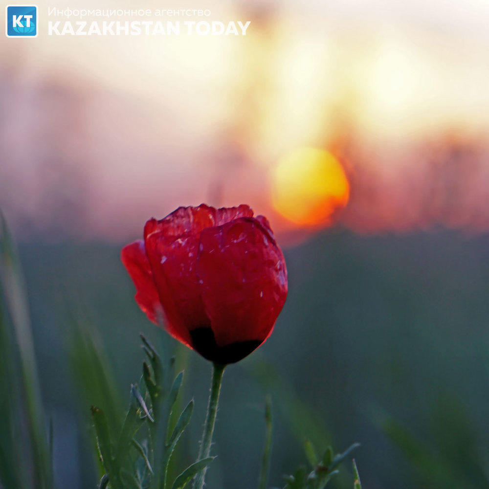 Алматы тау бөктеріндегі күн батуы