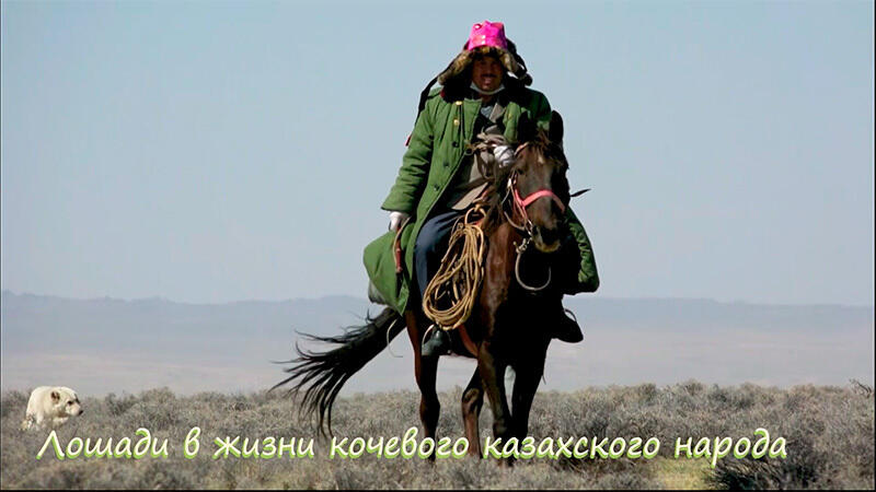 СИНЬЦЗЯН СЕГОДНЯ. В Синьцзяне наследник нематериального культурного наследия по казахским скачкам основал ассоциацию по дрессировке лошадей