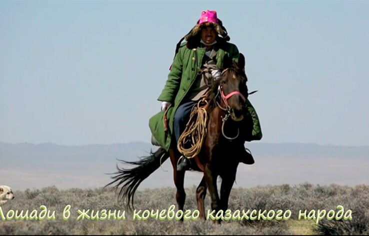 СИНЬЦЗЯН СЕГОДНЯ. В Синьцзяне наследник нематериального культурного наследия по казахским скачкам основал ассоциацию по дрессировке лошадей