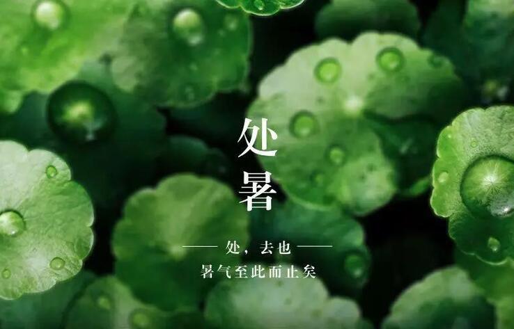 ТРАДИЦИОННАЯ КУЛЬТУРА КИТАЯ. 24 сезона традиционного китайского сельскохозяйственного календаря. Чушу - Конец жары