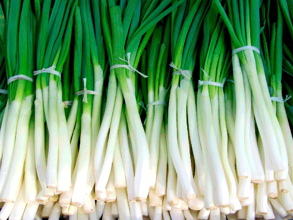 За восемь месяцев в страны "Пояса и пути" провинцией Ганьсу было экспортировано репчатого лука на сумму около $3,79 млн