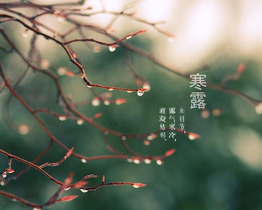 ТРАДИЦИОННАЯ КУЛЬТУРА КИТАЯ. 24 сезона традиционного китайского сельскохозяйственного календаря. Ханьлу - Холодные росы