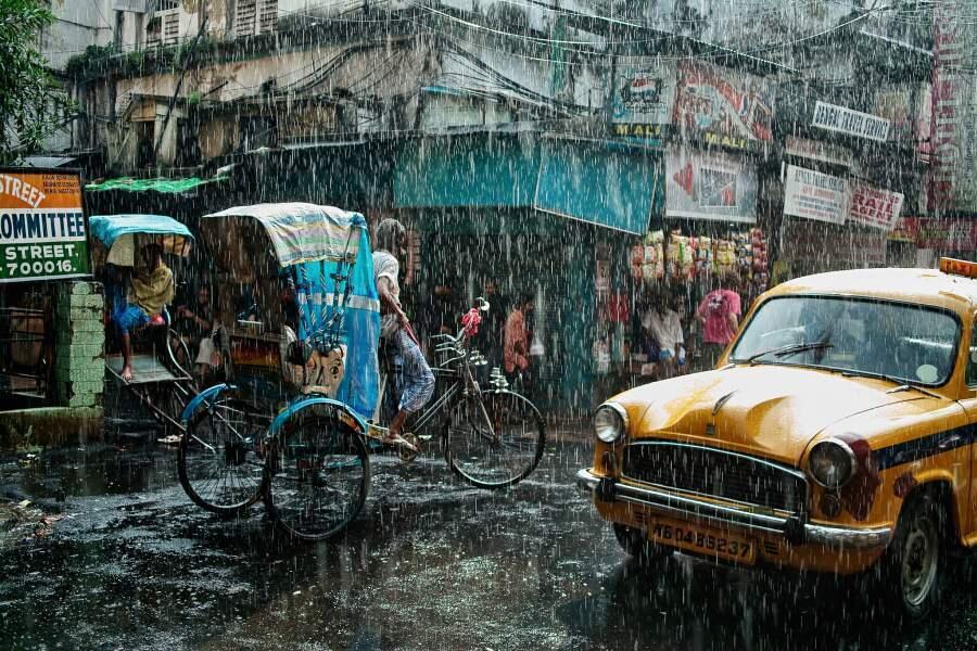 Картина мира: самые впечатляющие фото года. Фото: «Сезон дождей» от Джули Мэйфен.  | iz.ru