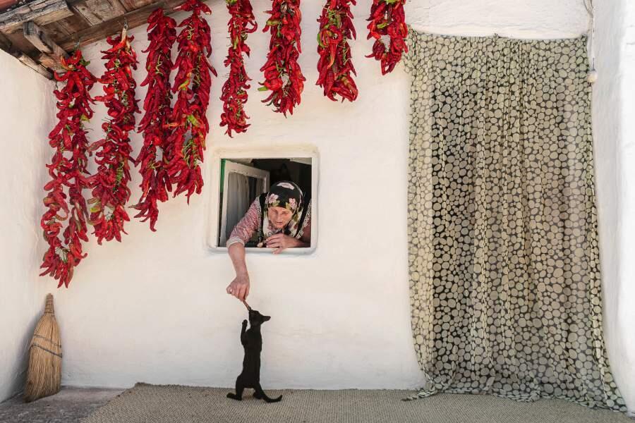 Outstanding Images Of The Year. Images | iz.ru