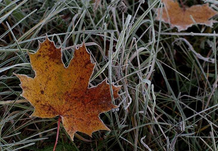 В большинстве областей Казахстана ожидается погода без осадков