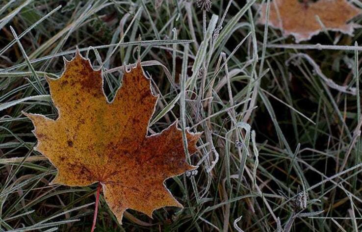 В большинстве областей Казахстана ожидается погода без осадков