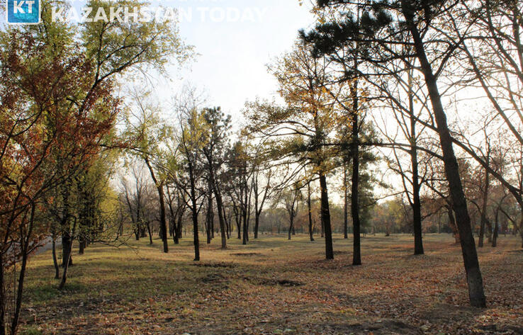 Солнечную погоду без осадков прогнозируют синоптики в Казахстане