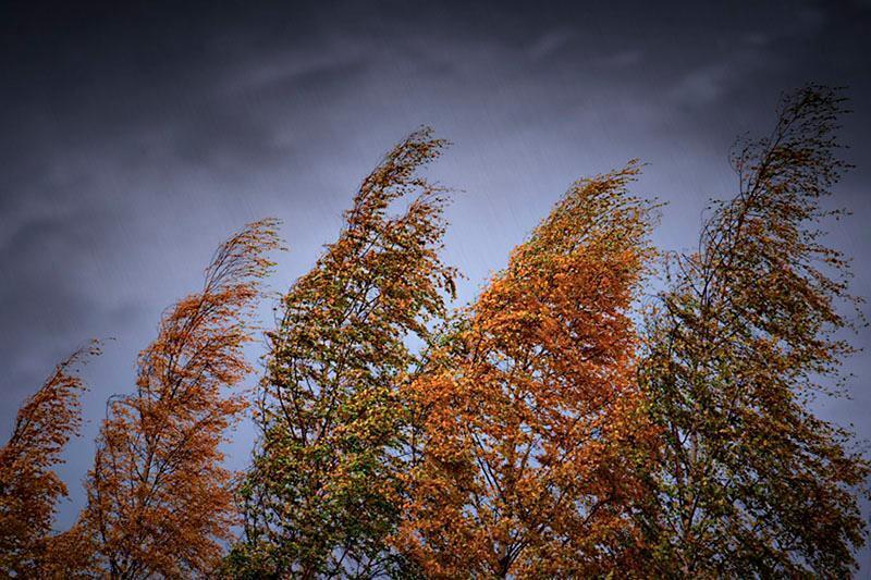 В пяти областях объявили штормовое предупреждение 
