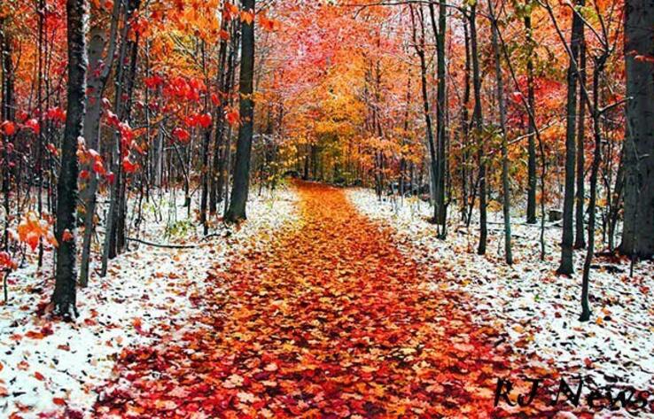 В большинстве регионов Казахстана ожидается погода без осадков