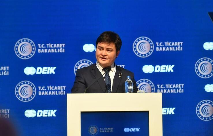 Специальная экономическая зона, объединяющая тюркоязычные страны, будет создана в Казахстане