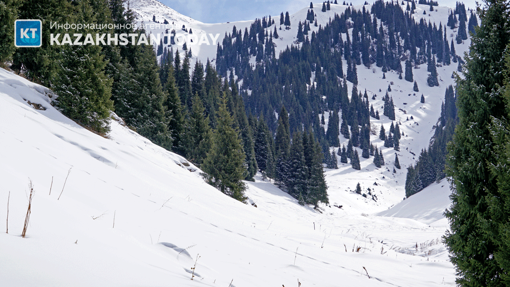 В большинстве регионов Казахстана ожидается снег