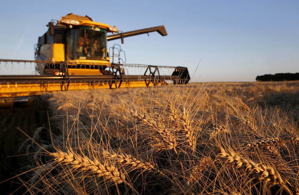 Урожай зерновых в Казахстане составил 16,4 млн тонн