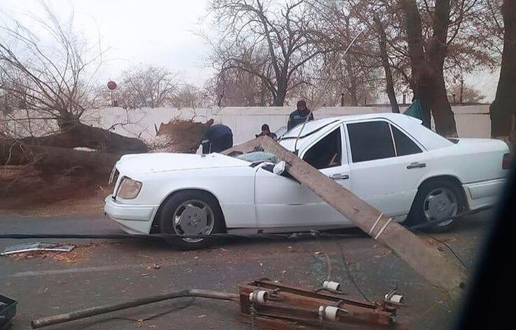 Wind storm hit Zhambyl region