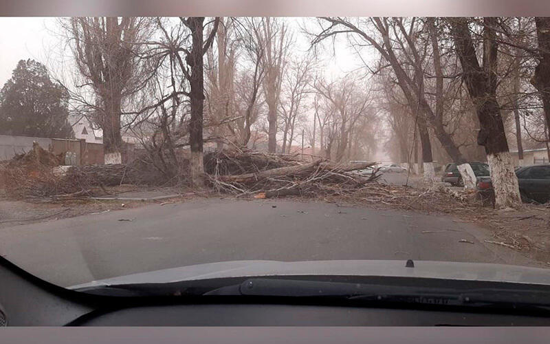 Wind storm hit Zhambyl region. Images | instagram / vtvs_taraz
