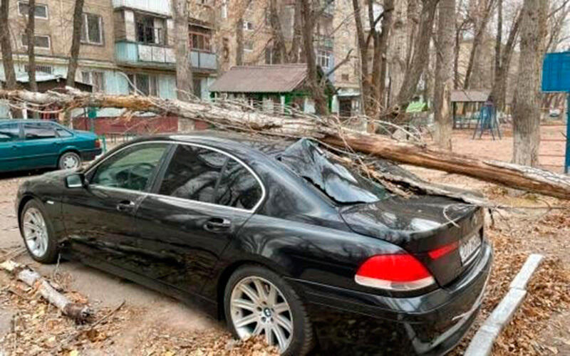 Wind storm hit Zhambyl region. Images | instagram / taraz_v_obektive
