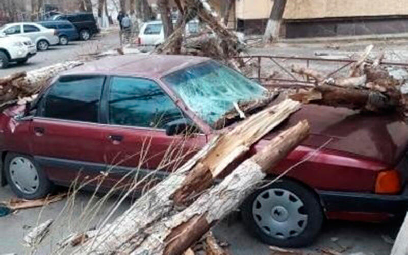 Wind storm hit Zhambyl region. Images | instagram / taraz_v_obektive