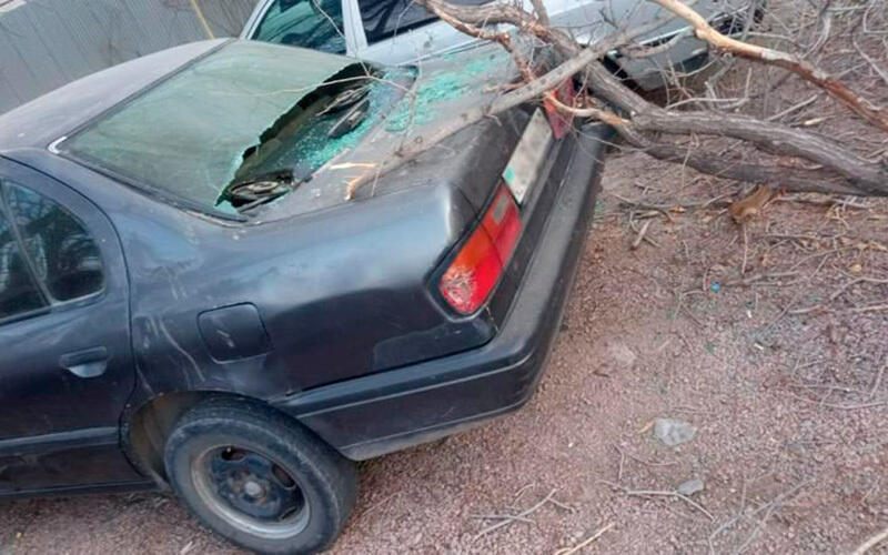 Wind storm hit Zhambyl region. Images | ktk.kz