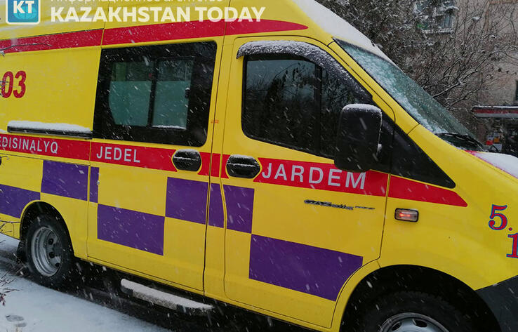 В Восточном Казахстане трехлетний ребенок подавился орехом и скончался