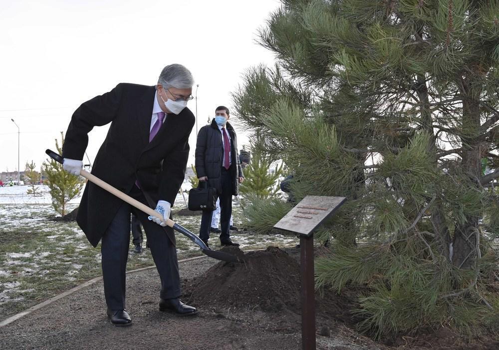 ҚР Президенті: Ағаш егу – биік мәдениеттіліктің белгісі. Сурет: Ақорда