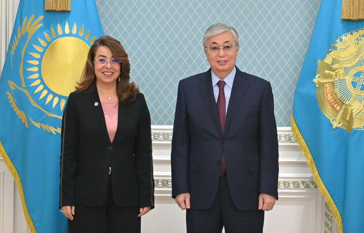 Глава государства принял генерального директора отделения ООН в Вене