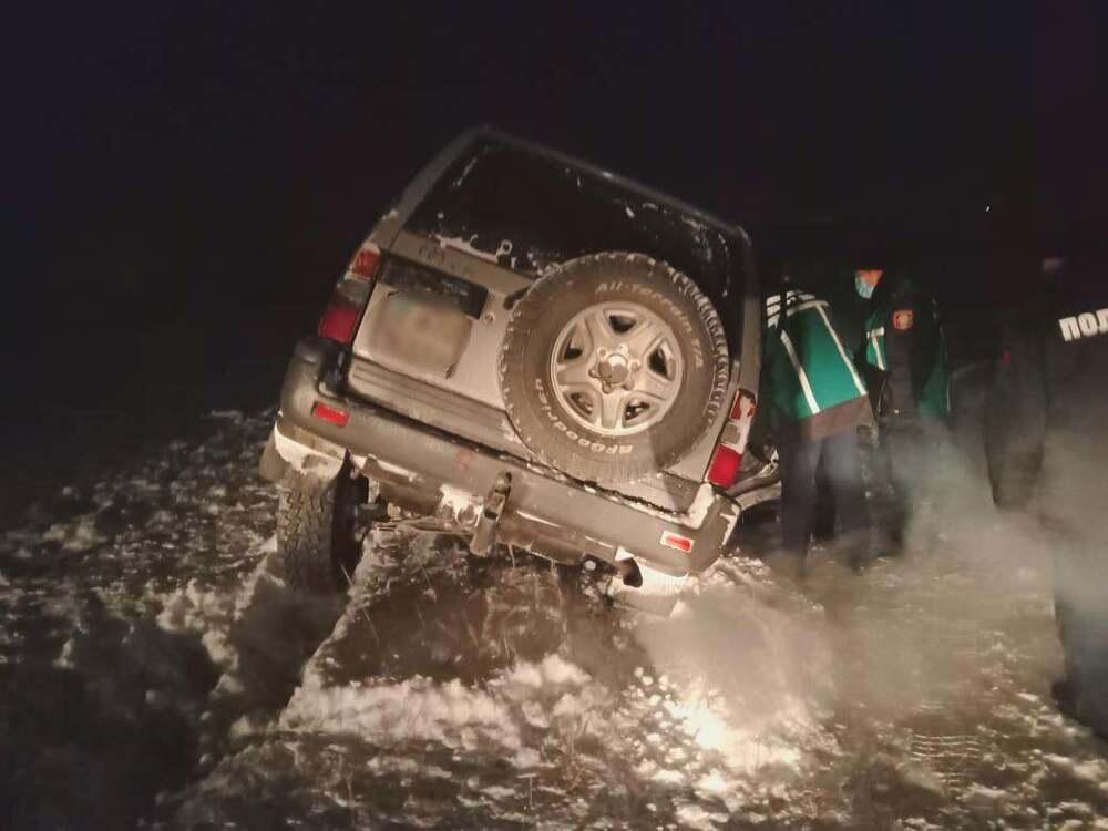 В ВКО скотокрад застрелил лошадь стоимостью 7 тысяч долларов. Фото: polisia.kz