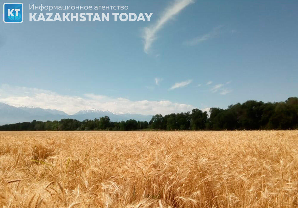 АПК РК характеризируется положительной динамикой роста - Карашукеев