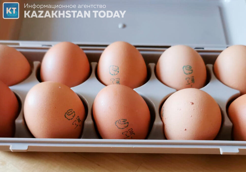 Двух производителей яиц в Павлодарской области подозревают в ценовом сговоре