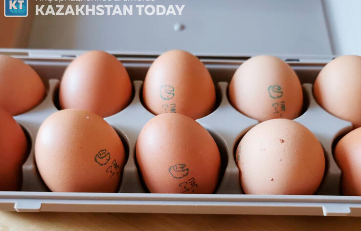 Двух производителей яиц в Павлодарской области подозревают в ценовом сговоре