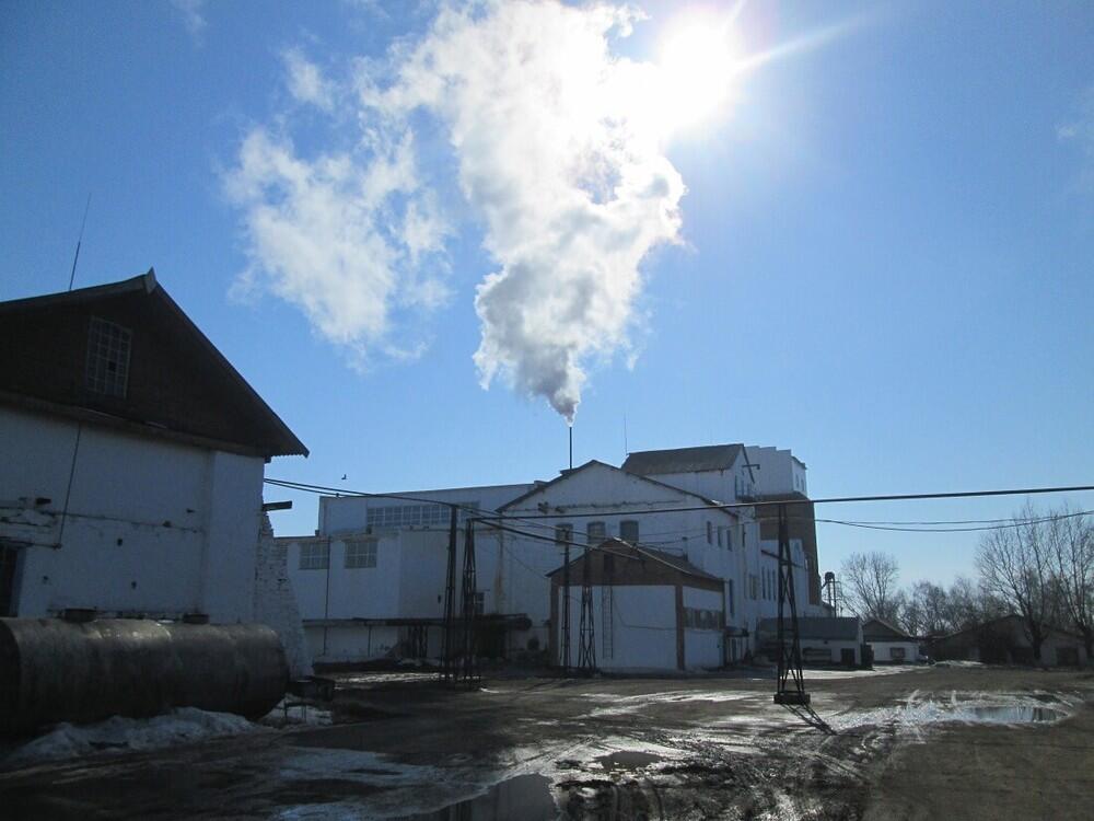 Ермек Маржикпаев: Работа Айдабульского спиртзавода будет возобновлена 