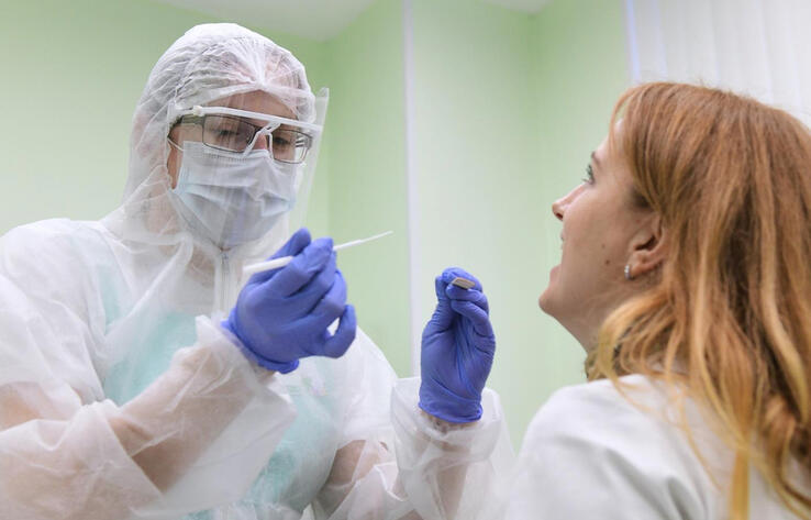 В России срок действия ПЦР-теста ограничат 48 часами