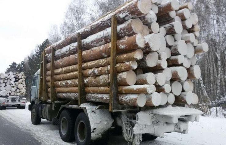 Timber export banned in Kazakhstan