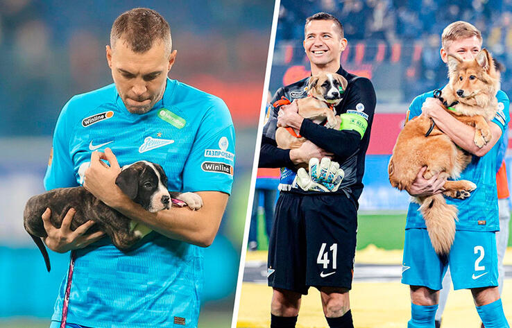 Zenit St Petersburg's stars brought out shelter dogs before a game as part of a new campaign