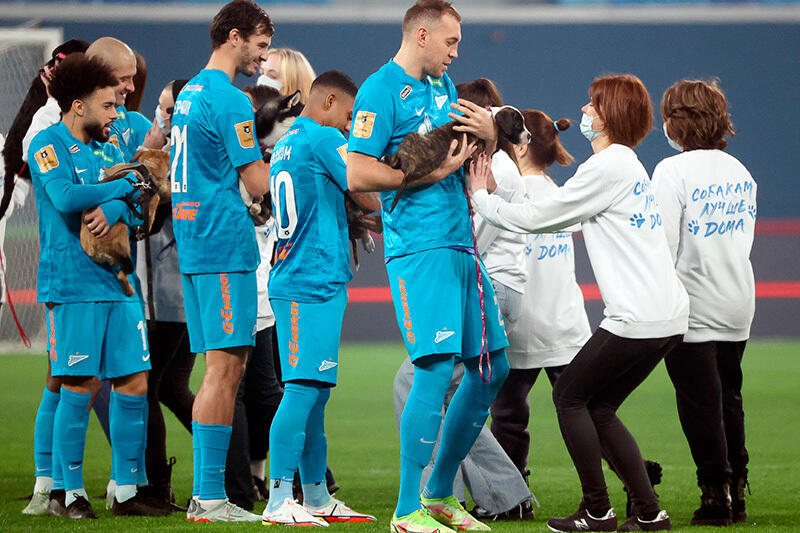 Zenit St Petersburg's stars brought out shelter dogs before a game as part of a new campaign. Images | gazeta.ru