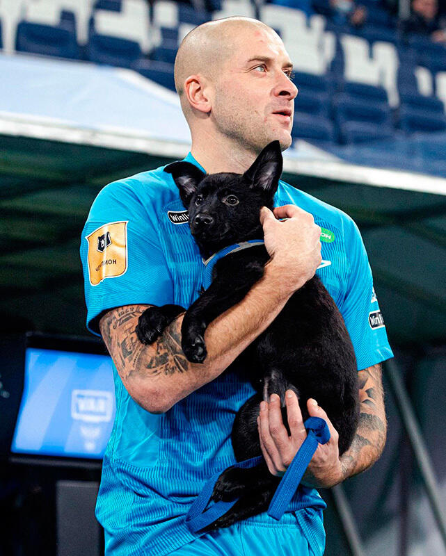 Zenit St Petersburg's stars brought out shelter dogs before a game as part of a new campaign. Images | gazeta.ru