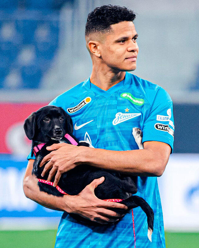 Zenit St Petersburg's stars brought out shelter dogs before a game as part of a new campaign. Images | gazeta.ru