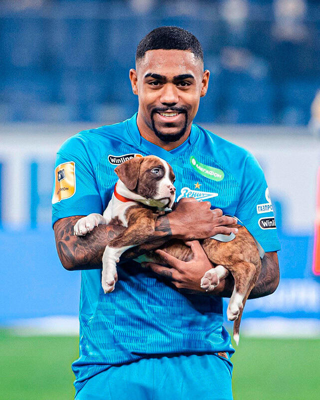 Zenit St Petersburg's stars brought out shelter dogs before a game as part of a new campaign. Images | gazeta.ru