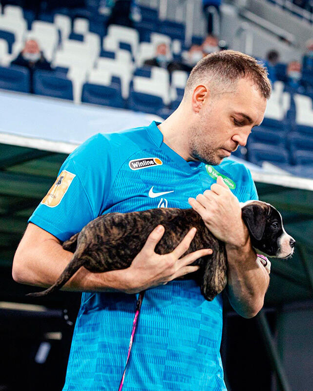 Zenit St Petersburg's stars brought out shelter dogs before a game as part of a new campaign. Images | gazeta.ru