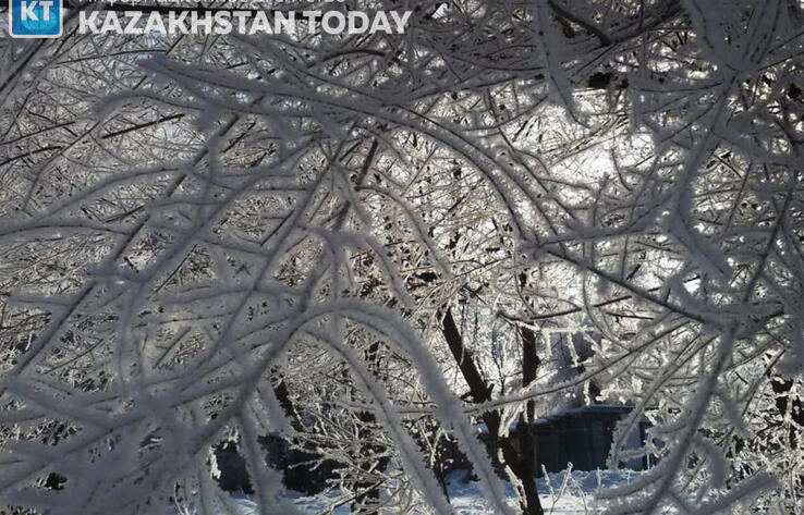 Frosts expected in Kazakhstan
