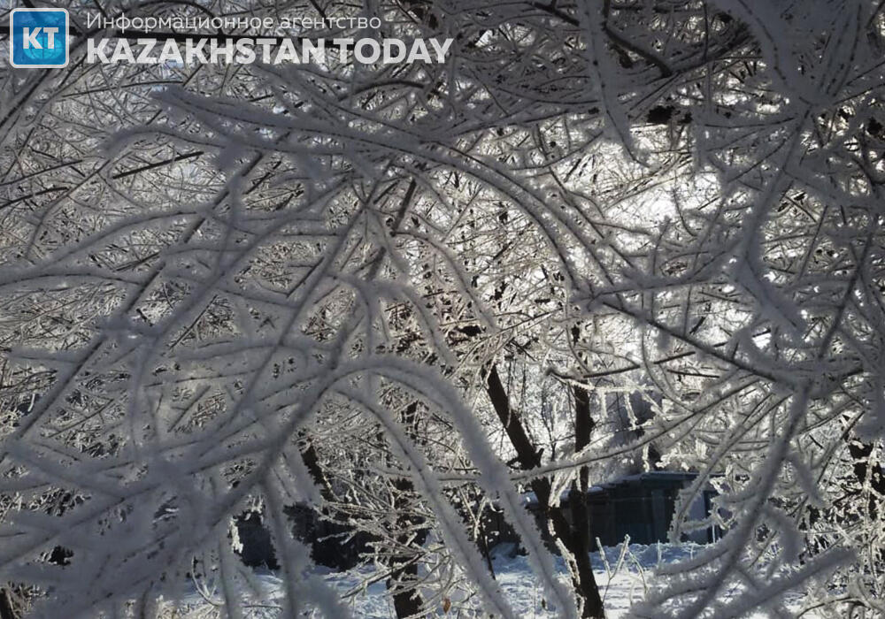 Морозы до 30 градусов придут в Казахстан в ближайшие дни