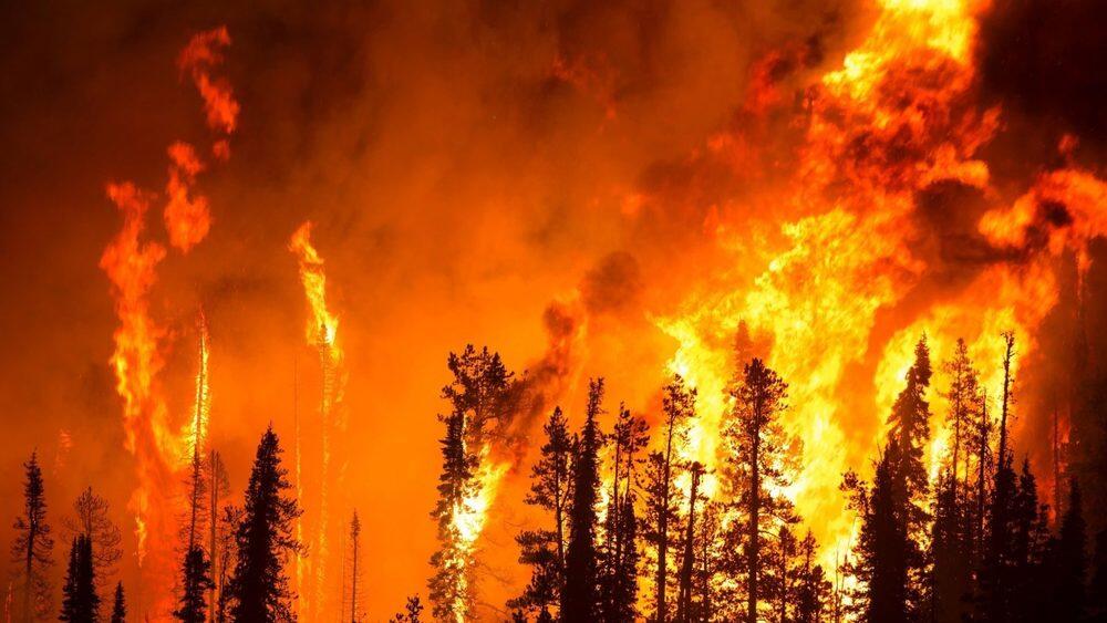 Ильин: Ущерб от лесостепных пожаров в 2021 году превысил 1,8 млрд тенге