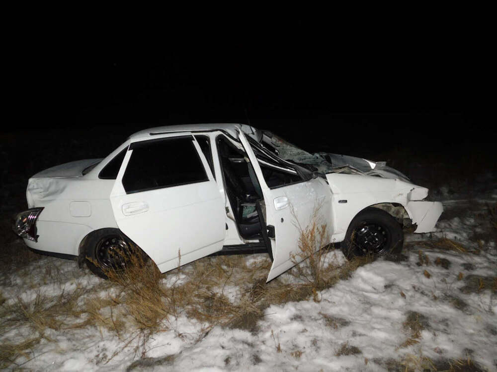 Отбившиеся от табуна лошади стали причиной аварии в СКО